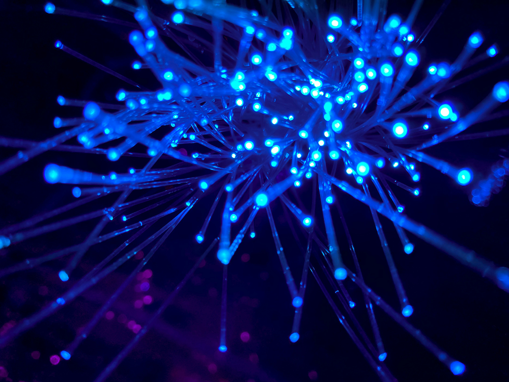 Fiber Optics